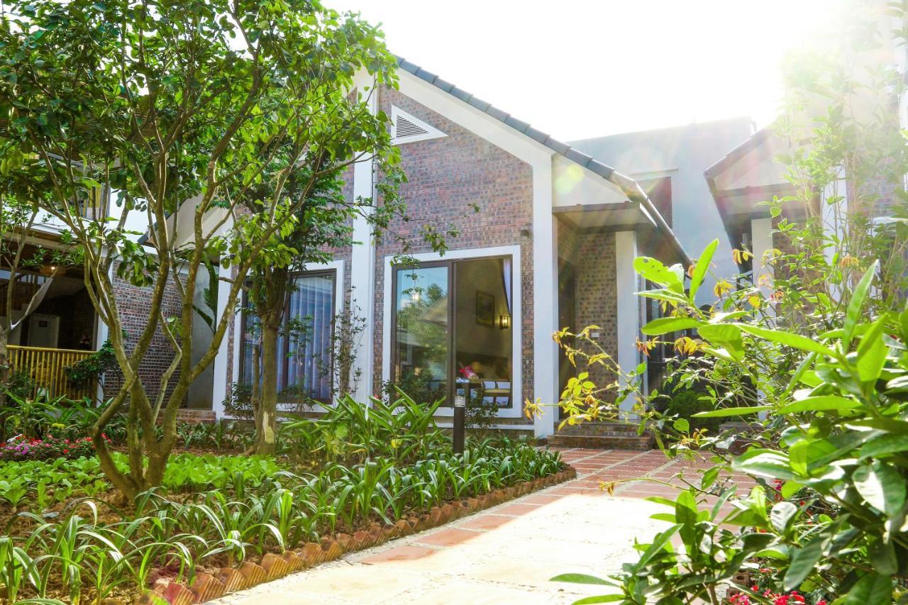 Tam Coc Golden Rice Hotel Ninh Bình Kültér fotó